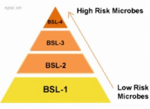 Các cấp nguy hại sinh học BSL của CDC