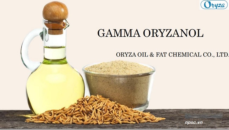 GAMMA-ORYZANOL cho mỹ phẩm và thực phẩm chức năng
