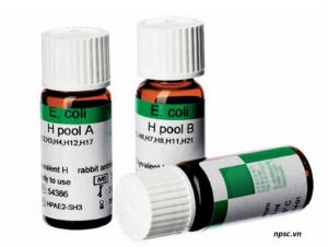 Kháng huyết thanh vi sinh vật SSI Diagnostica - vi khuẩn Ecoli H pool