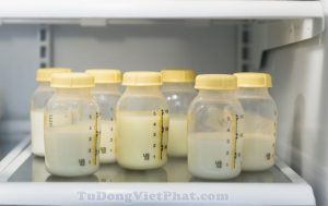 Có nên mua tủ đông mini trữ sữa mẹ? Trữ đông sữa mẹ và sử dụng đúng cách